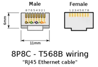 Schema des RJ45-Steckers und der Buchse