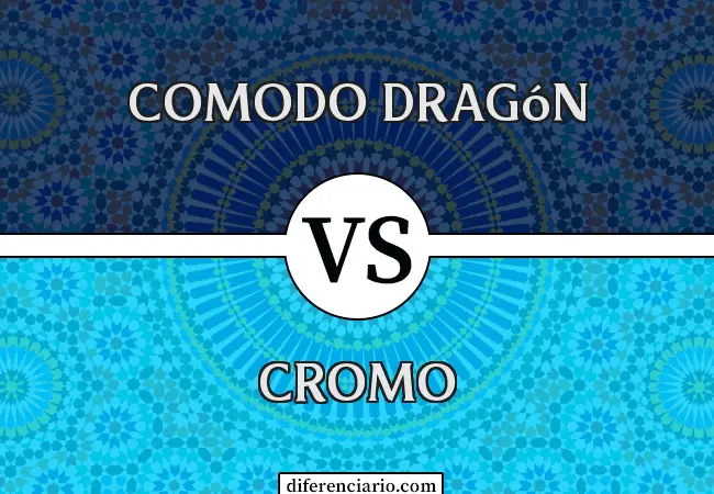 Unterschied zwischen Comodo Dragon und Chrome