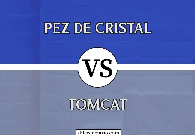 Unterschied zwischen Glassfish und Tomcat