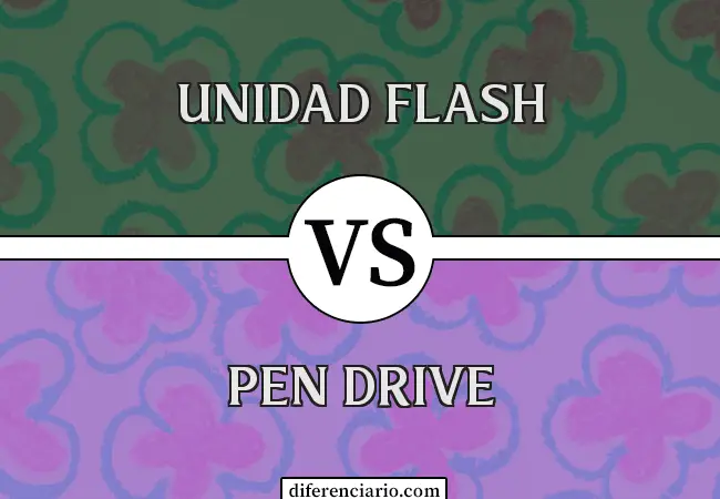 Unterschied zwischen Flash-Laufwerk und USB-Stick