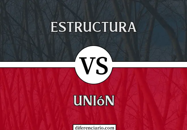 Unterschied zwischen Struktur und Union