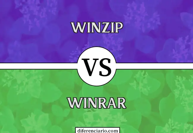 Unterschied zwischen WinZip und WinRar