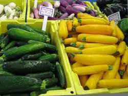Zucchini (grün) und Kürbis (gelb) auf einem Bauernmarkt in Mississippi